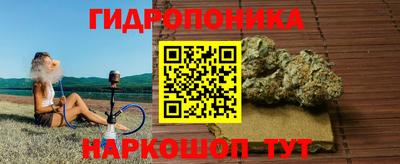 мяу мяу мука Малгобек
