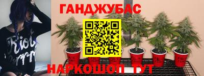 стафф Малоярославец
