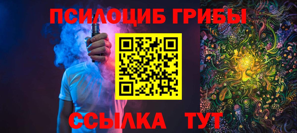 Псилоцибиновые грибы Psilocybe Урюпинск